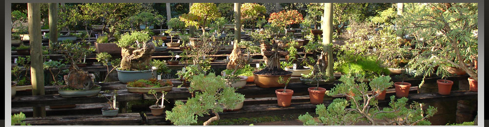 Kranspoort Nursery